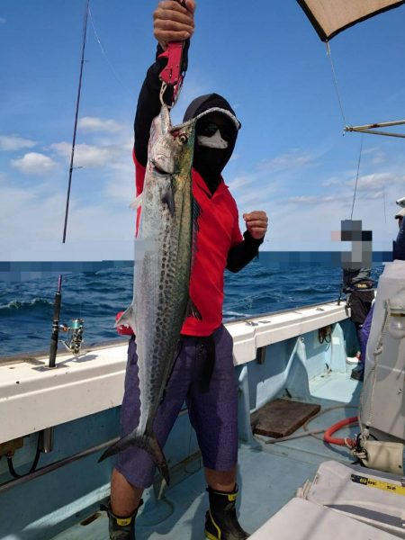 ソルトウォーターガイドフレンズ 釣果