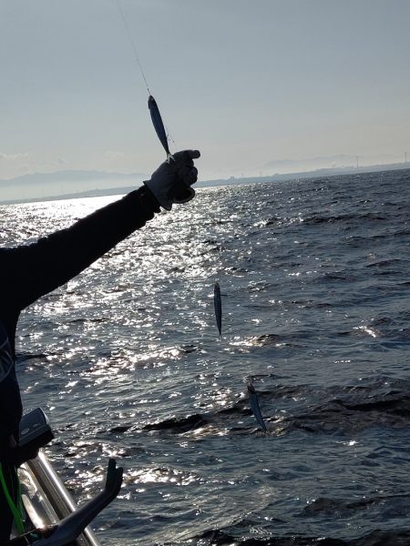 神海丸 釣果