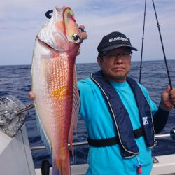 ARCADIAⅡ (アルカディアⅡ) 釣果