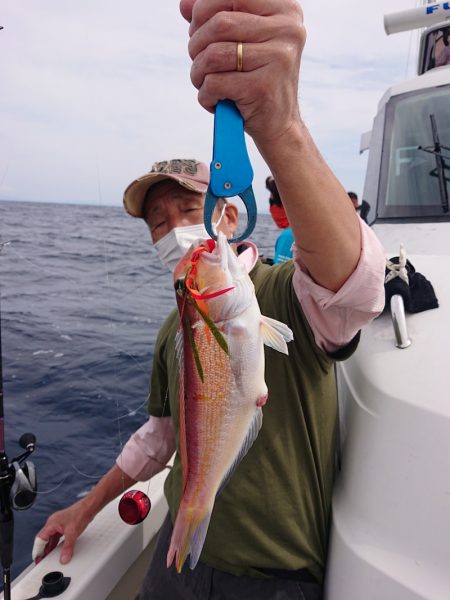 ARCADIAⅡ (アルカディアⅡ) 釣果