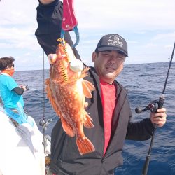 ARCADIAⅡ (アルカディアⅡ) 釣果