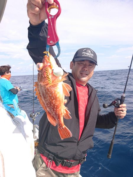 ARCADIAⅡ (アルカディアⅡ) 釣果