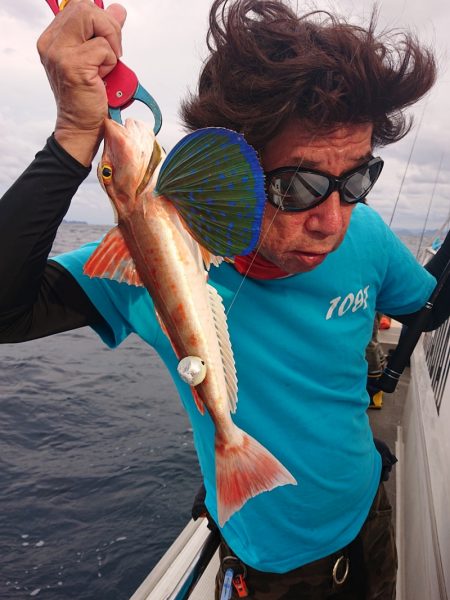 ARCADIAⅡ (アルカディアⅡ) 釣果