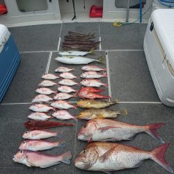 ARCADIAⅡ (アルカディアⅡ) 釣果