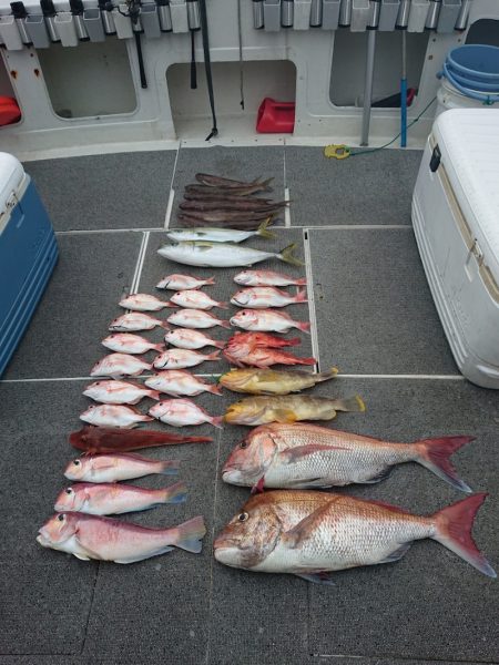 ARCADIAⅡ (アルカディアⅡ) 釣果