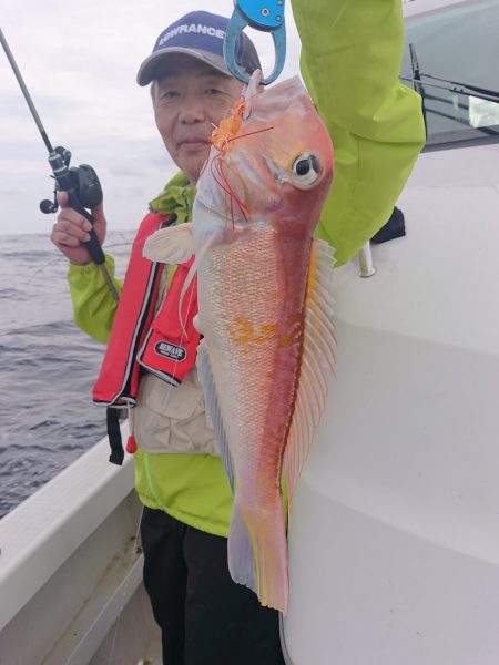 ARCADIAⅡ (アルカディアⅡ) 釣果