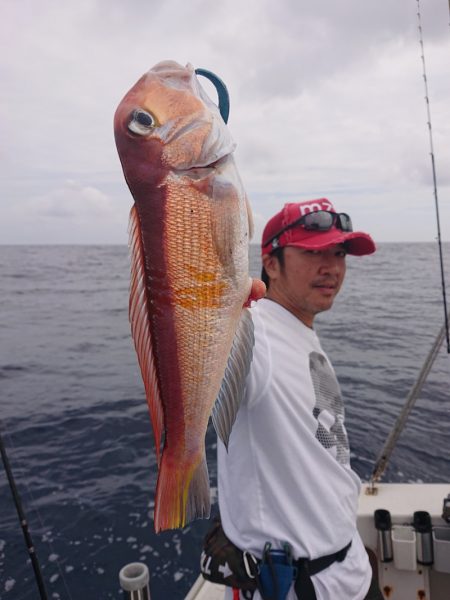 ARCADIAⅡ (アルカディアⅡ) 釣果