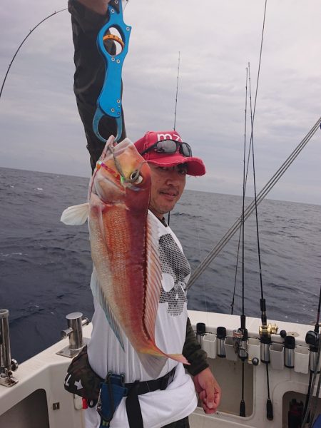 ARCADIAⅡ (アルカディアⅡ) 釣果