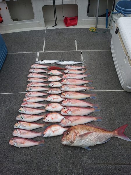 ARCADIAⅡ (アルカディアⅡ) 釣果