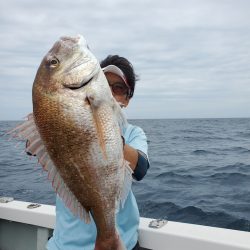 シーライオン 釣果