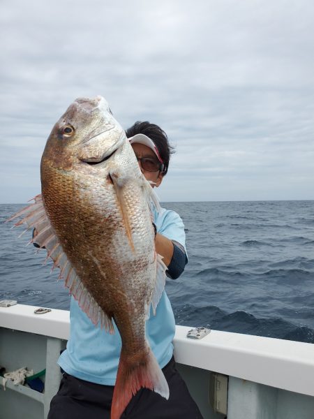 シーライオン 釣果