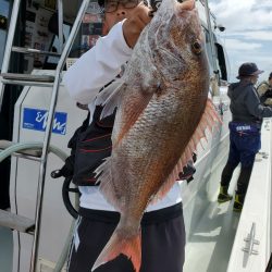 シーライオン 釣果