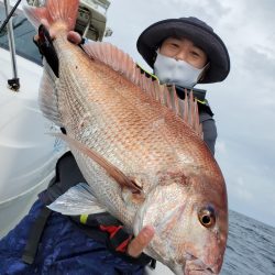 シーライオン 釣果