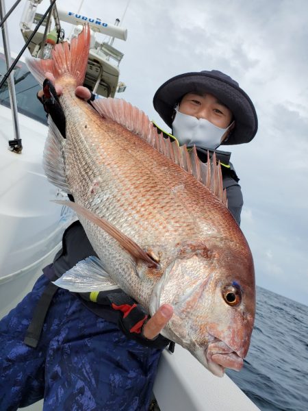 シーライオン 釣果