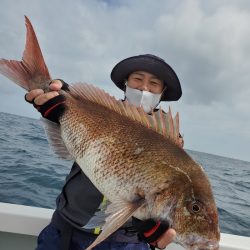 シーライオン 釣果