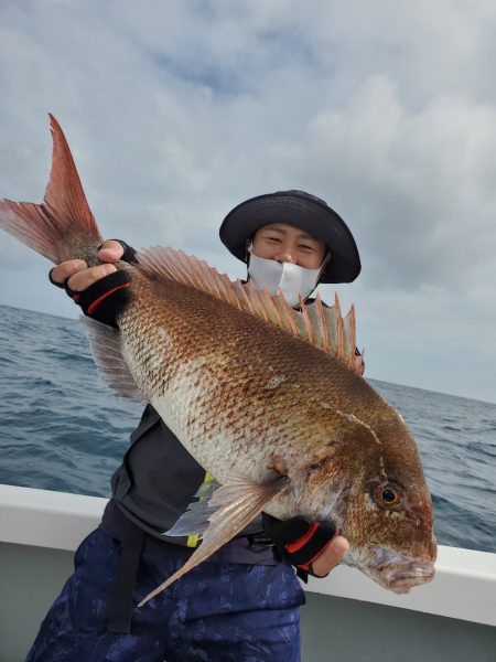 シーライオン 釣果