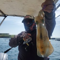 ソルトウォーターガイドフレンズ 釣果