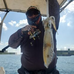 ソルトウォーターガイドフレンズ 釣果