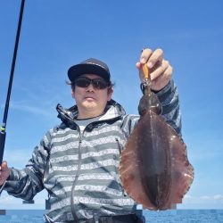 ソルトウォーターガイドフレンズ 釣果