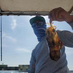 ソルトウォーターガイドフレンズ 釣果