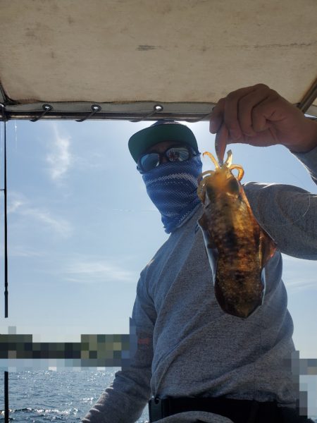 ソルトウォーターガイドフレンズ 釣果