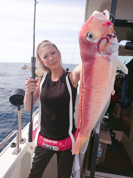 ARCADIAⅡ （アルカディアⅡ） 釣果