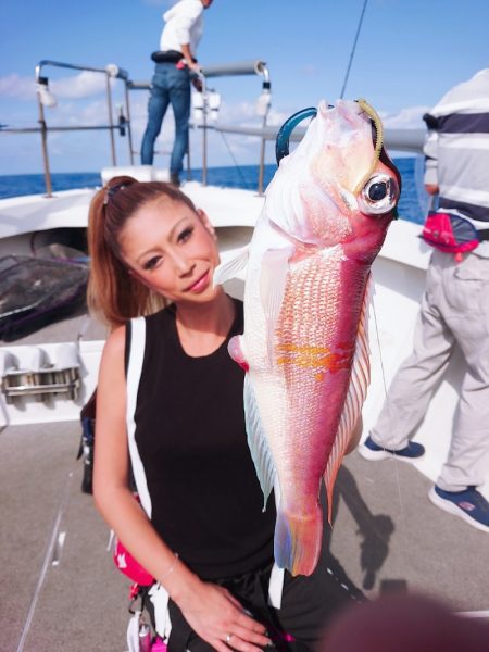 ARCADIAⅡ （アルカディアⅡ） 釣果