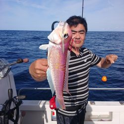 ARCADIAⅡ （アルカディアⅡ） 釣果