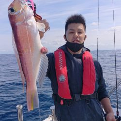 ARCADIAⅡ （アルカディアⅡ） 釣果