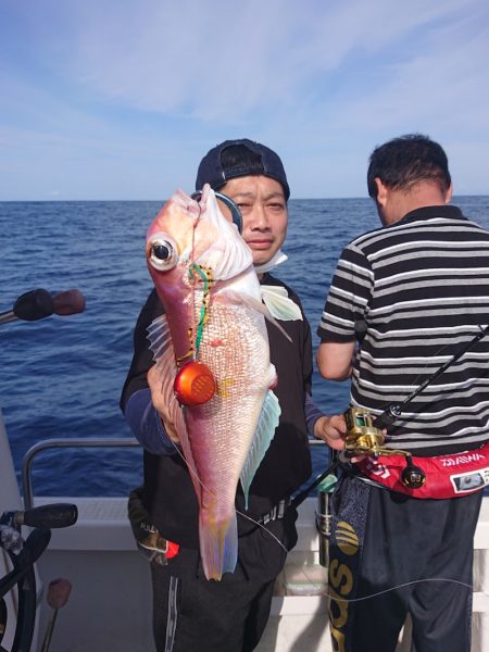 ARCADIAⅡ （アルカディアⅡ） 釣果