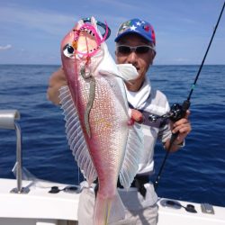 ARCADIAⅡ （アルカディアⅡ） 釣果