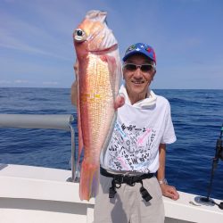 ARCADIAⅡ （アルカディアⅡ） 釣果