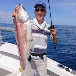 ARCADIAⅡ （アルカディアⅡ） 釣果