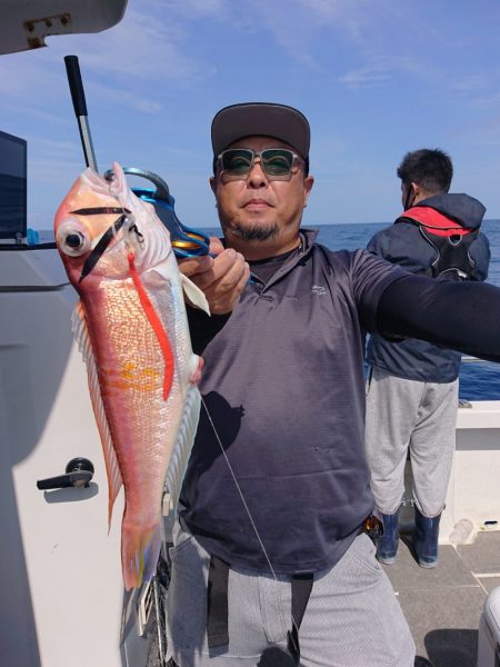 ARCADIAⅡ （アルカディアⅡ） 釣果