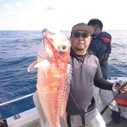 ARCADIAⅡ （アルカディアⅡ） 釣果