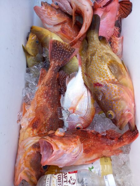 第二龍勢丸 釣果