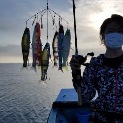 アマテラス 釣果