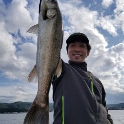 アマテラス 釣果