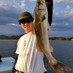 アマテラス 釣果