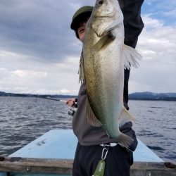 アマテラス 釣果