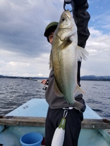 アマテラス 釣果