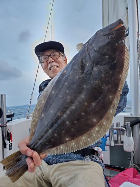 シーライオン 釣果
