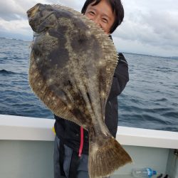 シーライオン 釣果