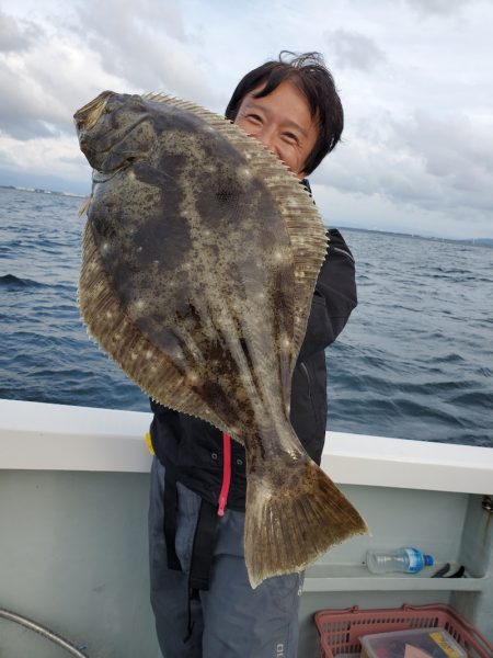 シーライオン 釣果