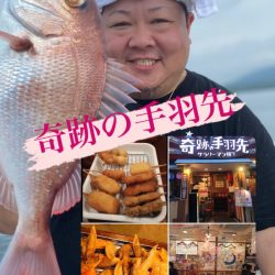 龍神丸(鹿児島) 釣果