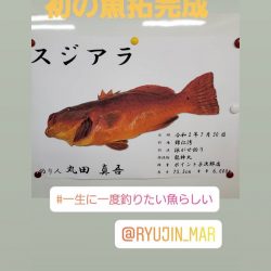 龍神丸(鹿児島) 釣果