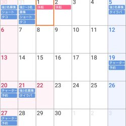 遊漁船 家入 釣果