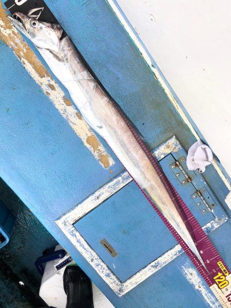 ヤザワ渡船 釣果