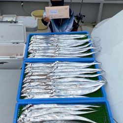 釣人家 釣果