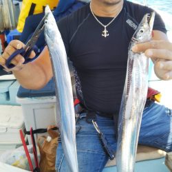 岡田釣船 八英丸 釣果